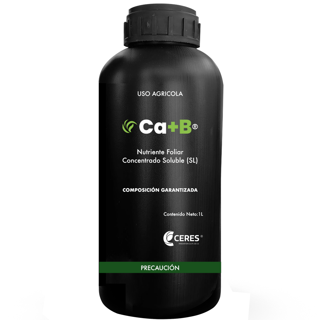 Ca+B_botella_1L